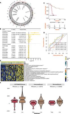 By using machine learning and in vitro testing, SERPINH1 functions as a novel tumorigenic and immunogenic gene and predicts immunotherapy response in osteosarcoma